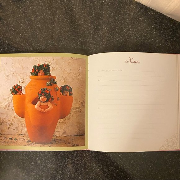 Anne Geddes My Pregnancy Journal - Picture 4 of 7